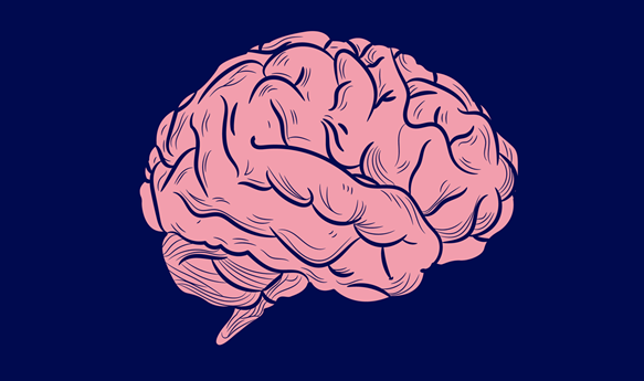 KnowledgeZoneIn's tweet image. #Computers Are Getting #Slower : Medium

#Pilot #Project paves way to storing #CO2 #Underground as #Minerals in #Arid countries ($) : Nature

#Women’s #Brains Can Help Unleash a $1 Trillion #Opportunity : Time

Latest #KnowledgeLinks

knowledgezone.co.in/resources/book…