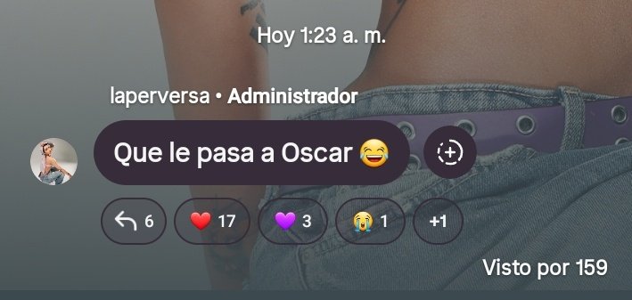 Fernanda tweet media