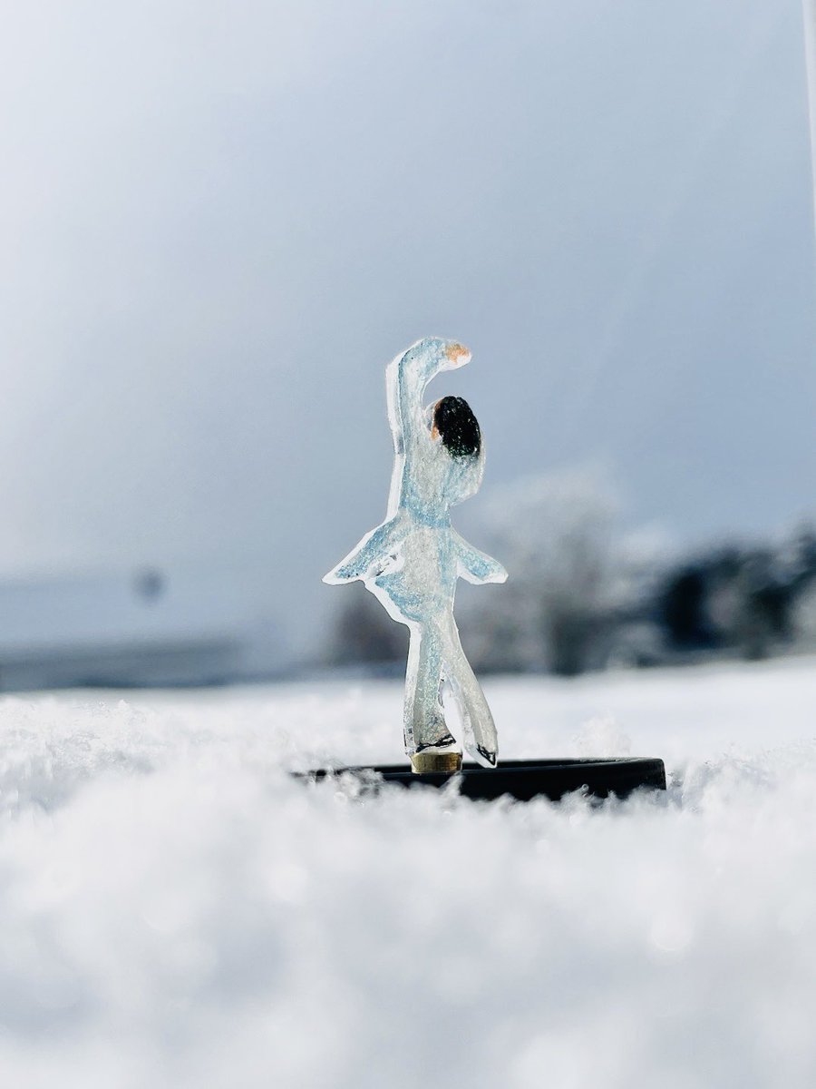 叩鸥栗-こおり tweet media