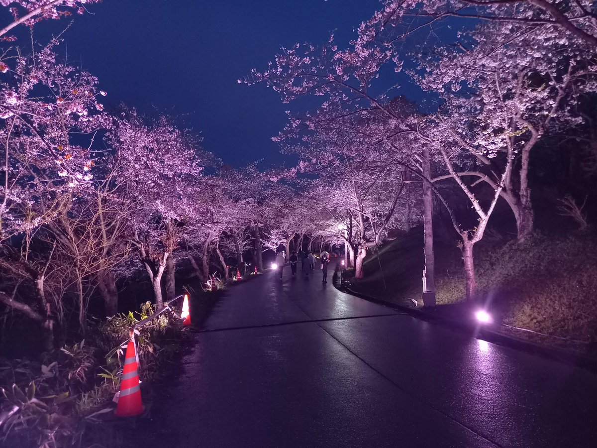 【イベントのお知らせ】

美唄市東明公園にて「びばいさくら2026」が開催されます！
今年は5月2日（土）～5月4日（月）の３日間での開催です。
初日2日（土）には19時30分より打上花火を予定しています。（荒天の場合は順延）

今後の続報をお楽しみに！

※写真は過去の様子です。