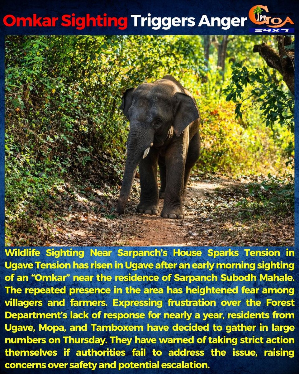 InGoa24x7's tweet image. Omkar Sighting Triggers Anger

#Goa #Goanews #Omkar #wildlife #Anger