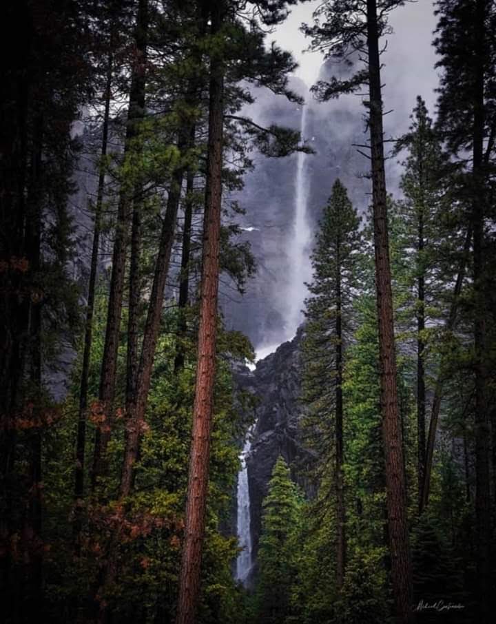 Clayton Bishop tweet media