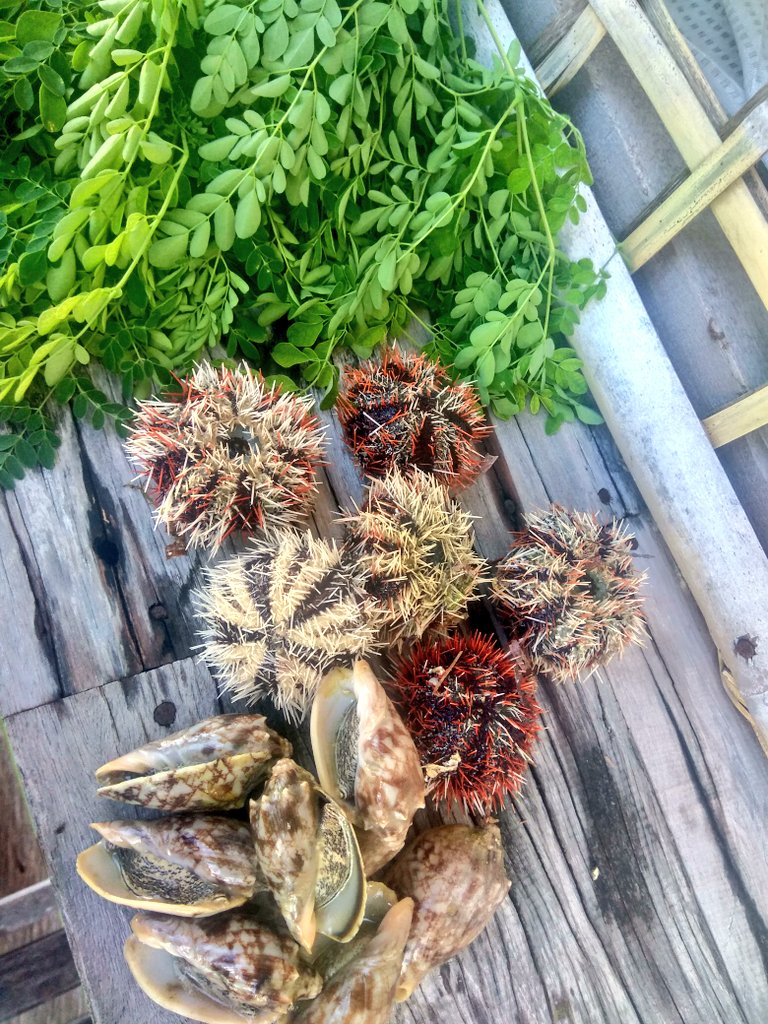 #KelanaRasa tweet media