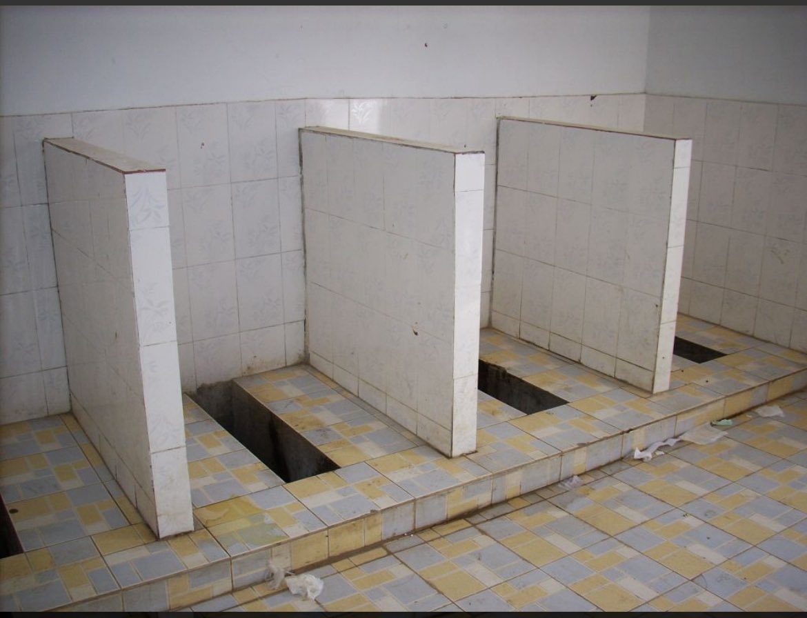 バッキー tweet media