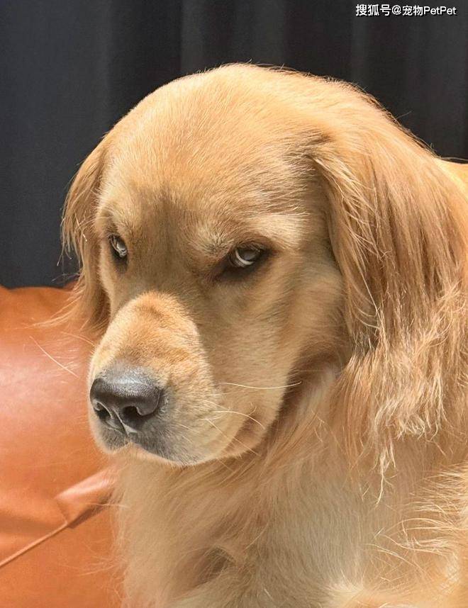 Raso Lucile tweet media