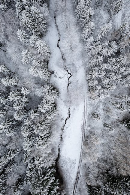 Ǥɨǥռǟʀɨռֆɦօք ผู้ติดตาม43,000 คน📌 tweet media