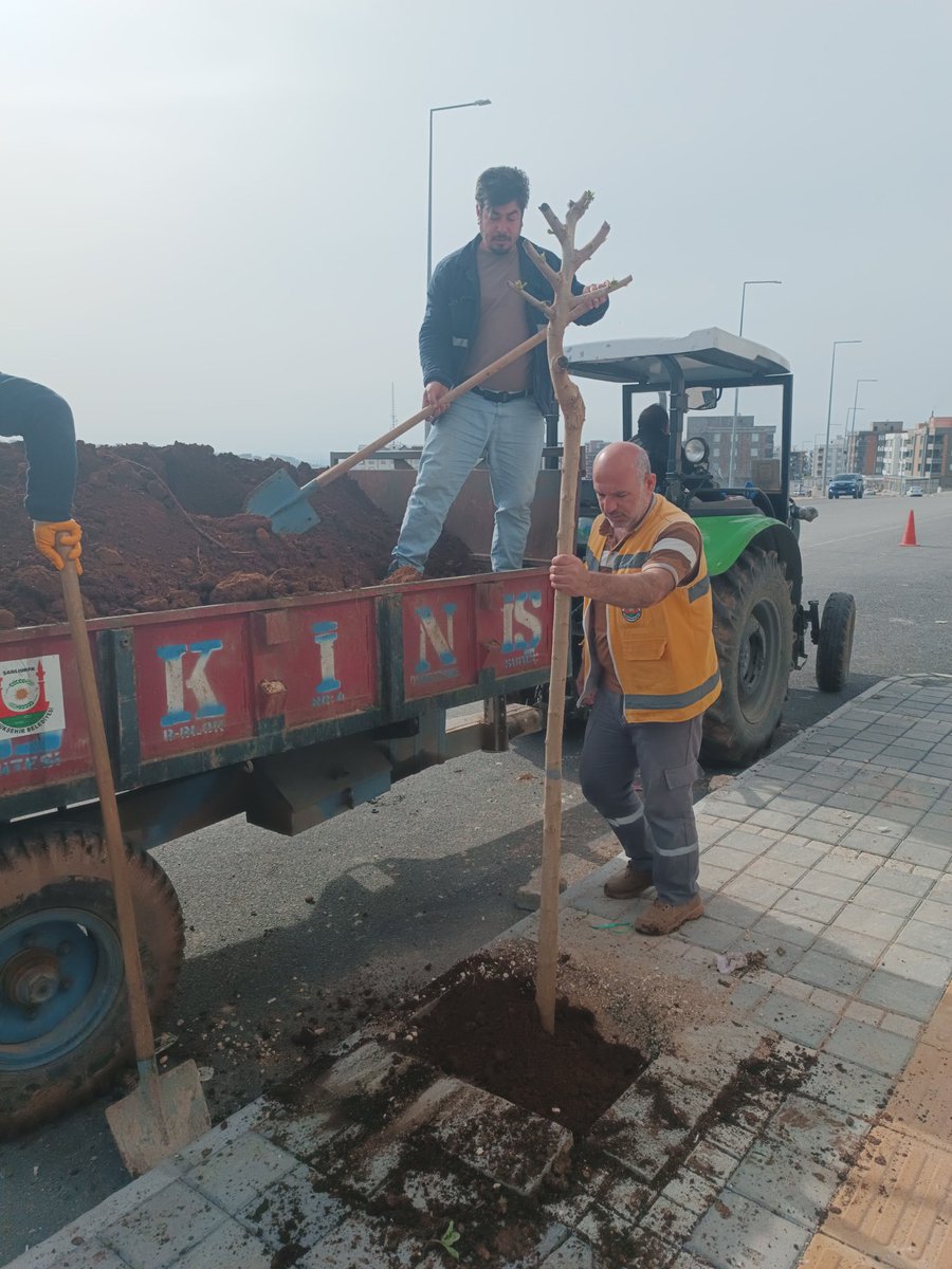 ŞBB PARK VE BAHÇELER 🇹🇷 tweet media