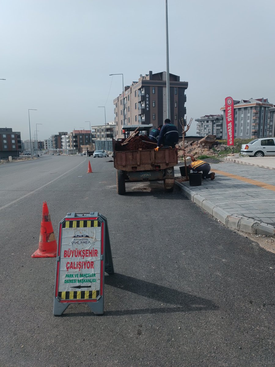 ŞBB PARK VE BAHÇELER 🇹🇷 tweet media