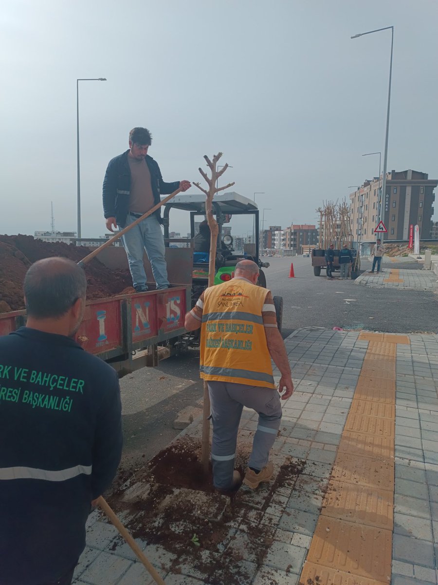 ŞBB PARK VE BAHÇELER 🇹🇷 tweet media