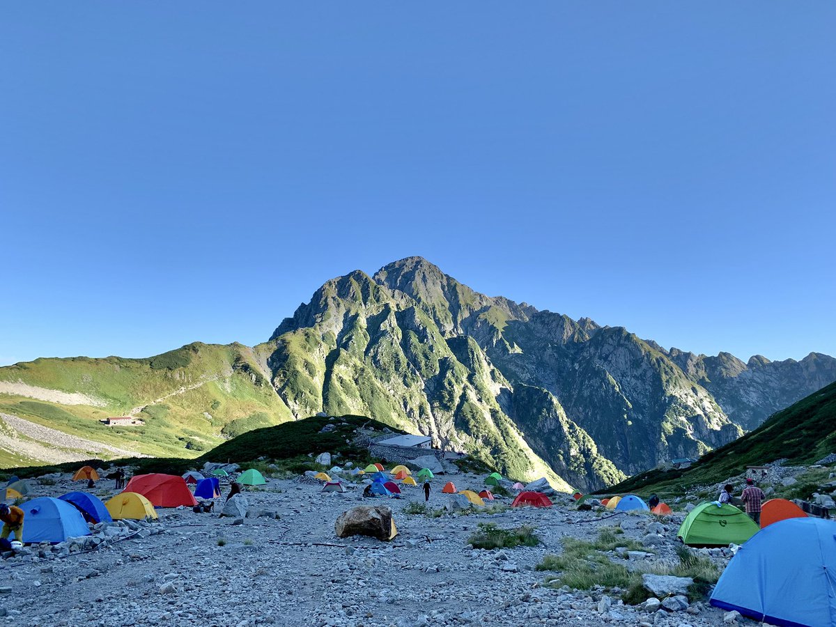 Allein Adler（アライン アドラー） tweet media