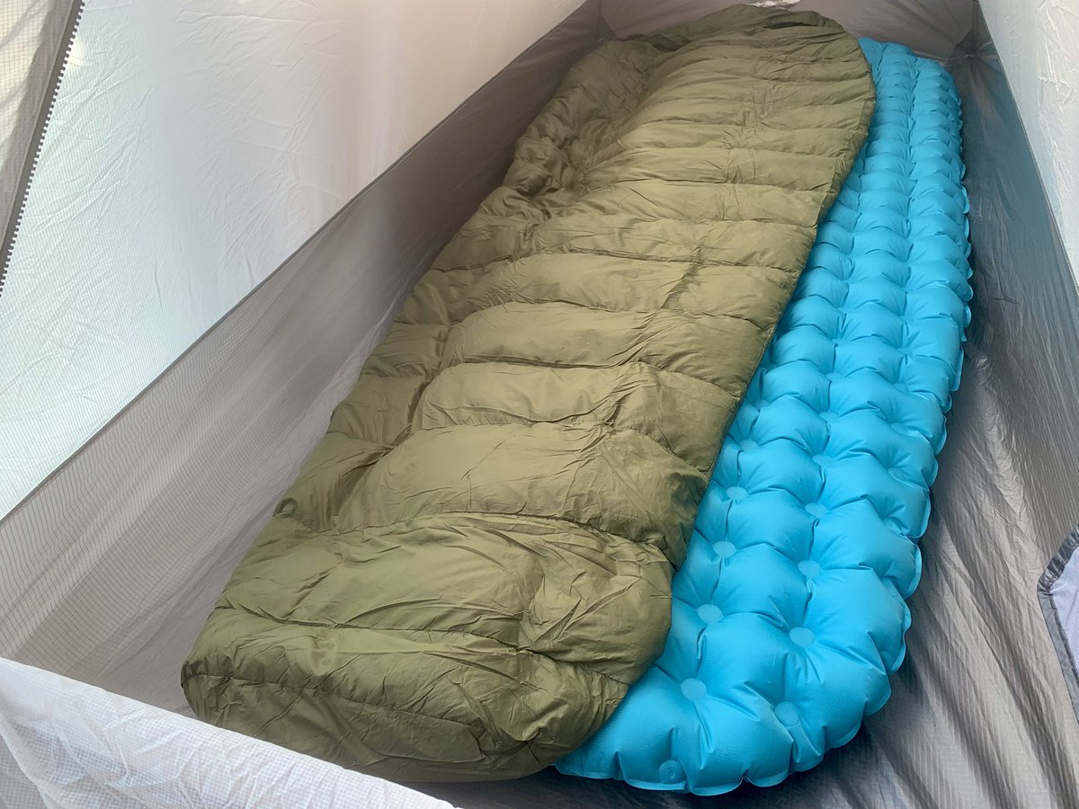 Allein Adler（アライン アドラー） tweet media