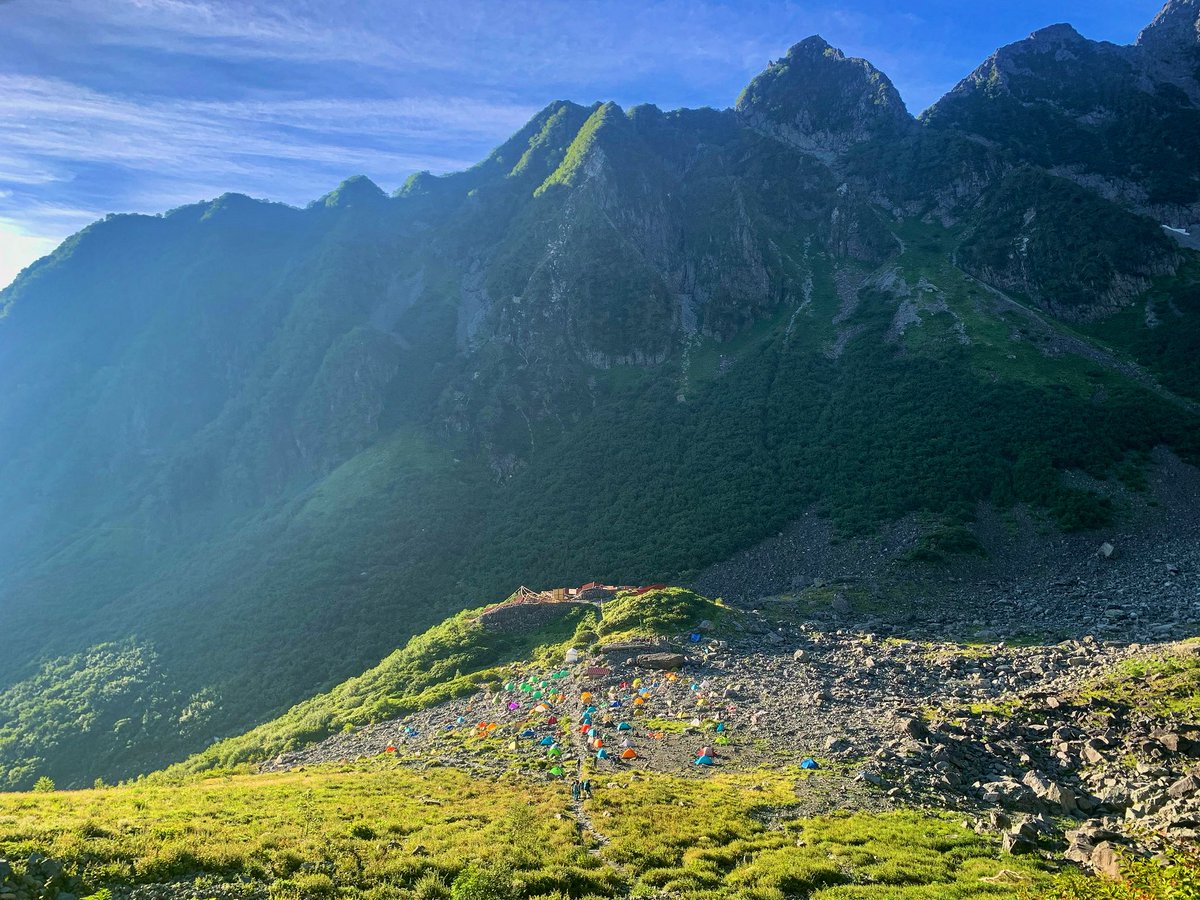 Allein Adler（アライン アドラー） tweet media