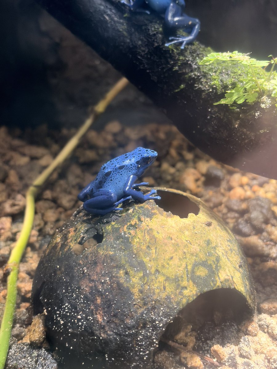 ´⌯ ̫⌯` tweet media