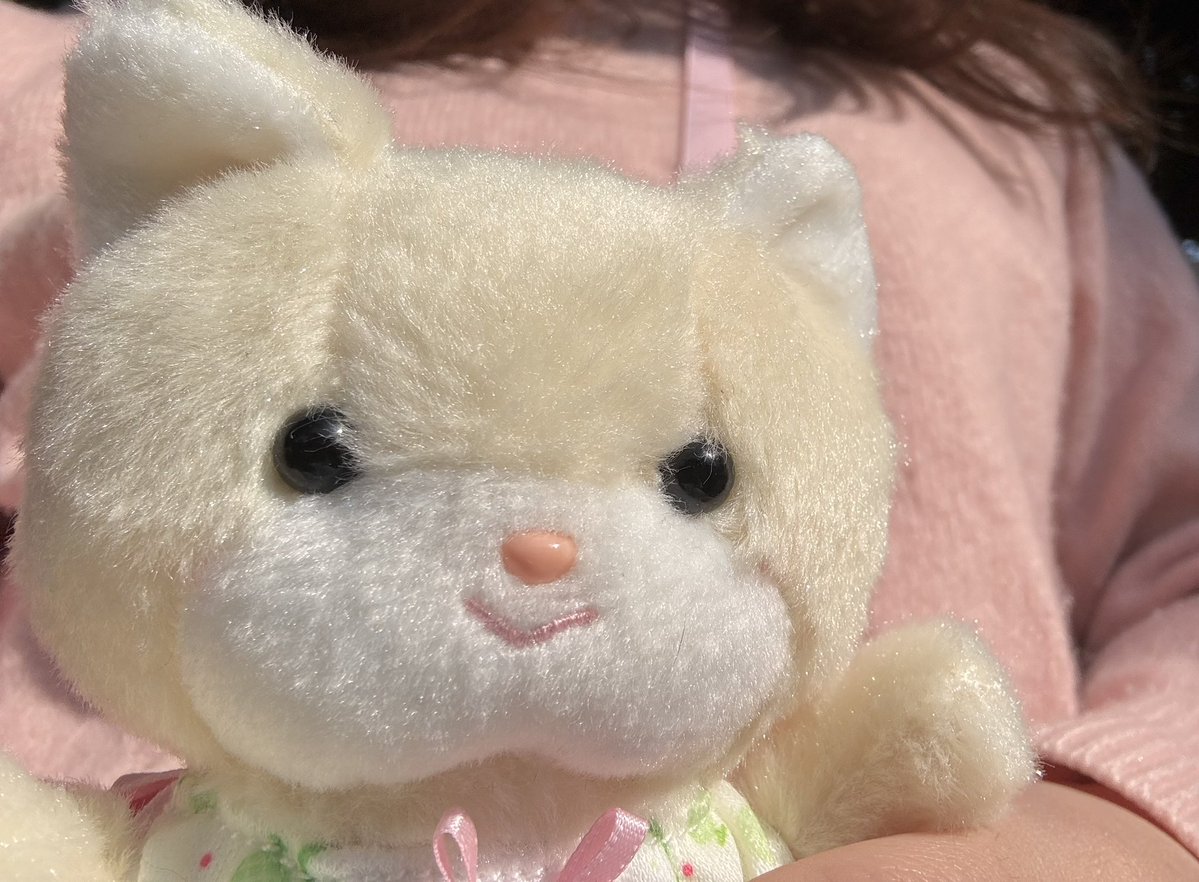 まろまろふぁみり〜 tweet media