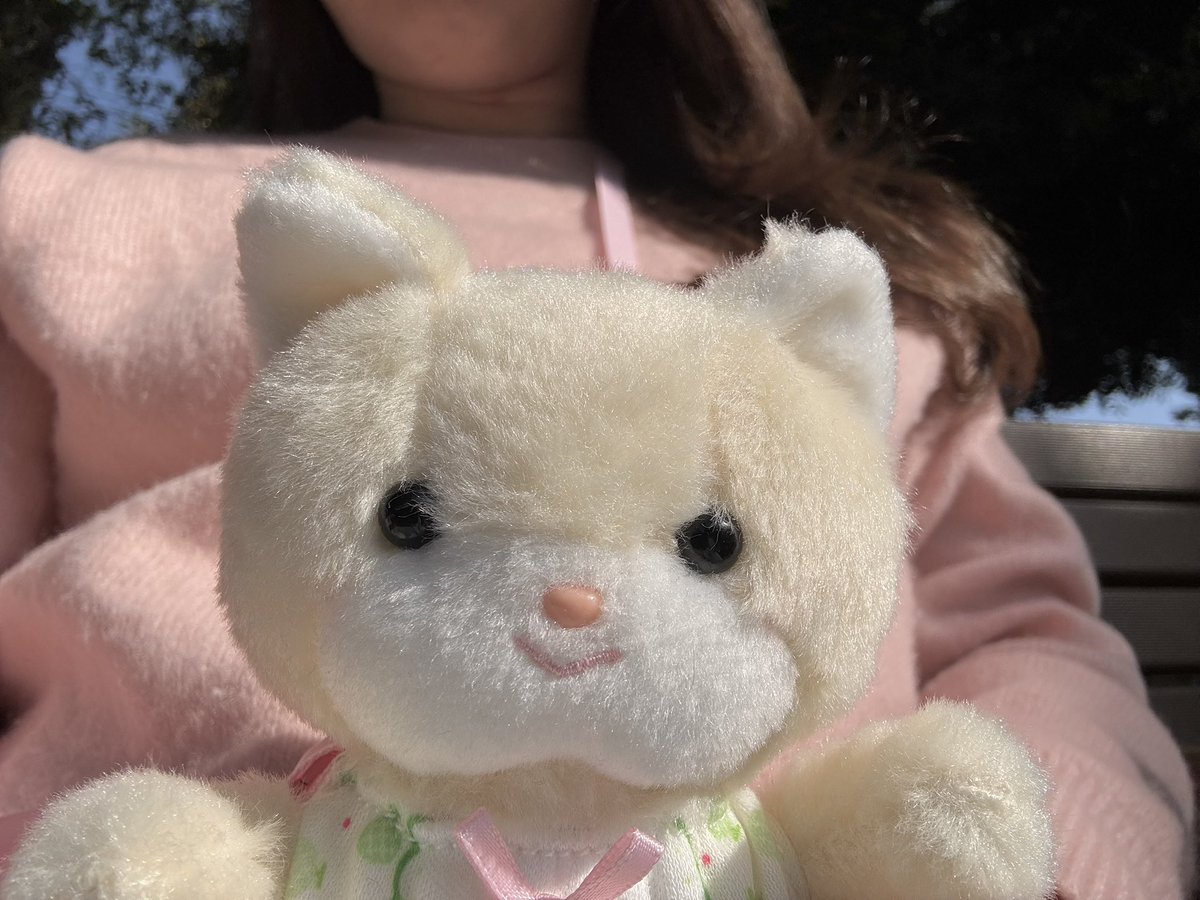 まろまろふぁみり〜 tweet media