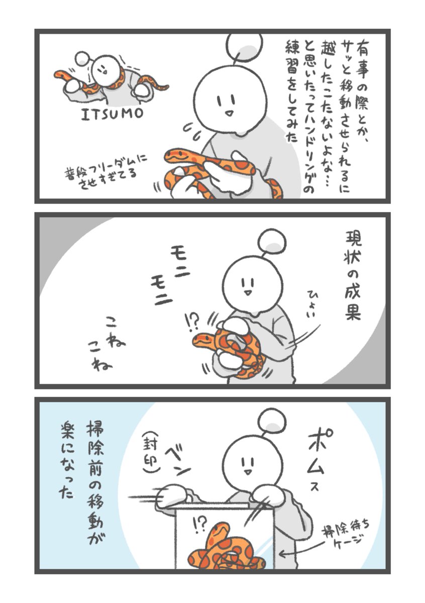 お祭り騒ぎ tweet media