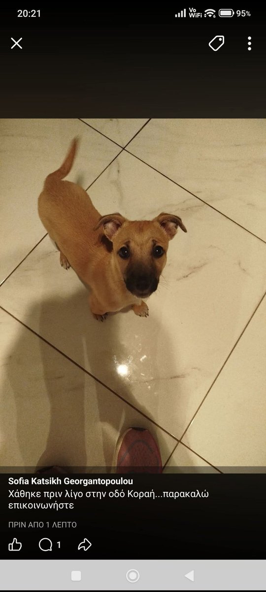 Διχασμένη Προσωπικότητα tweet media