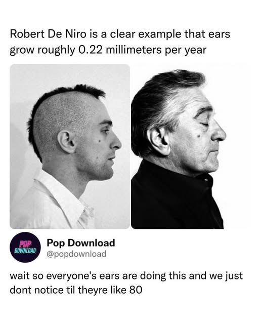 Orwell & Goode tweet media