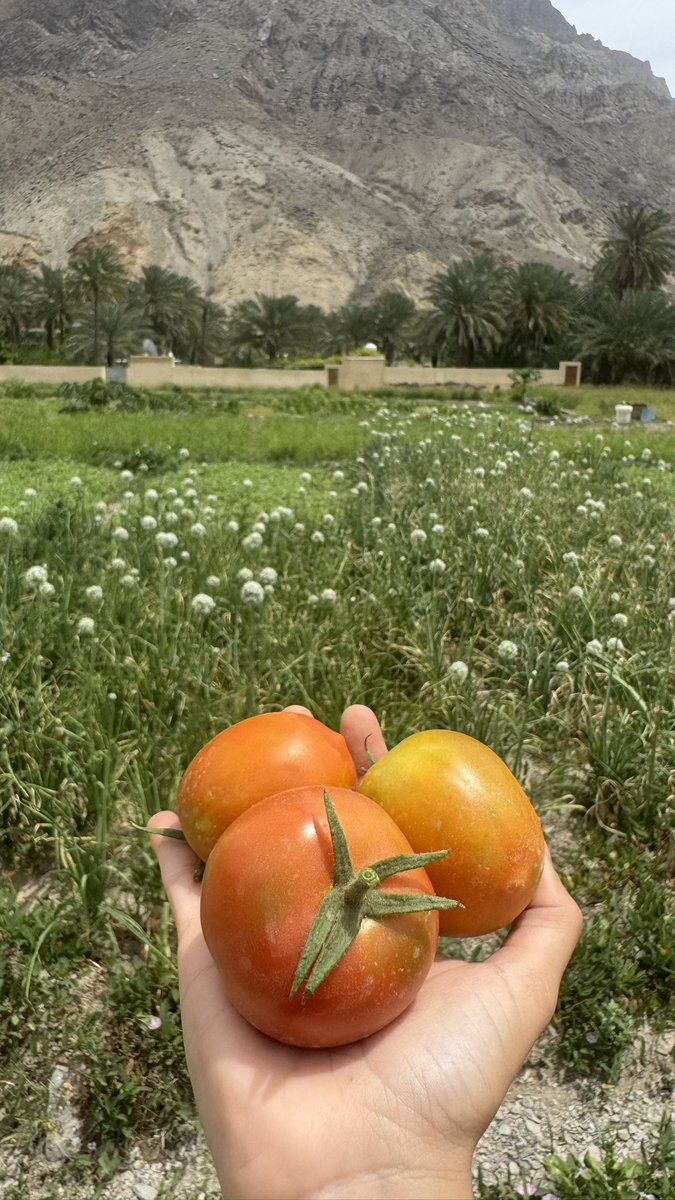 نـَفـافة🌱 tweet media