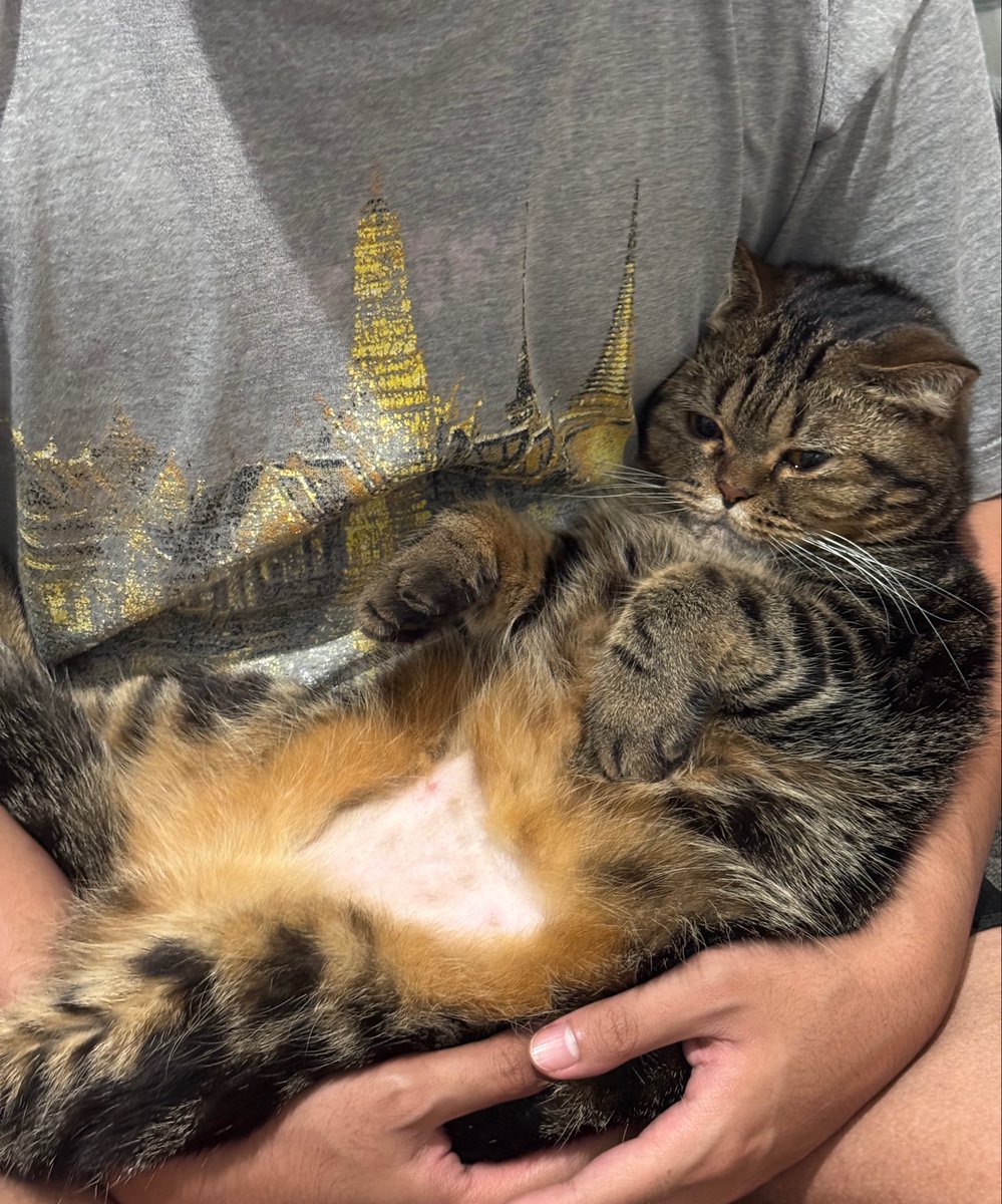 risty 👩‍🍳 tweet media