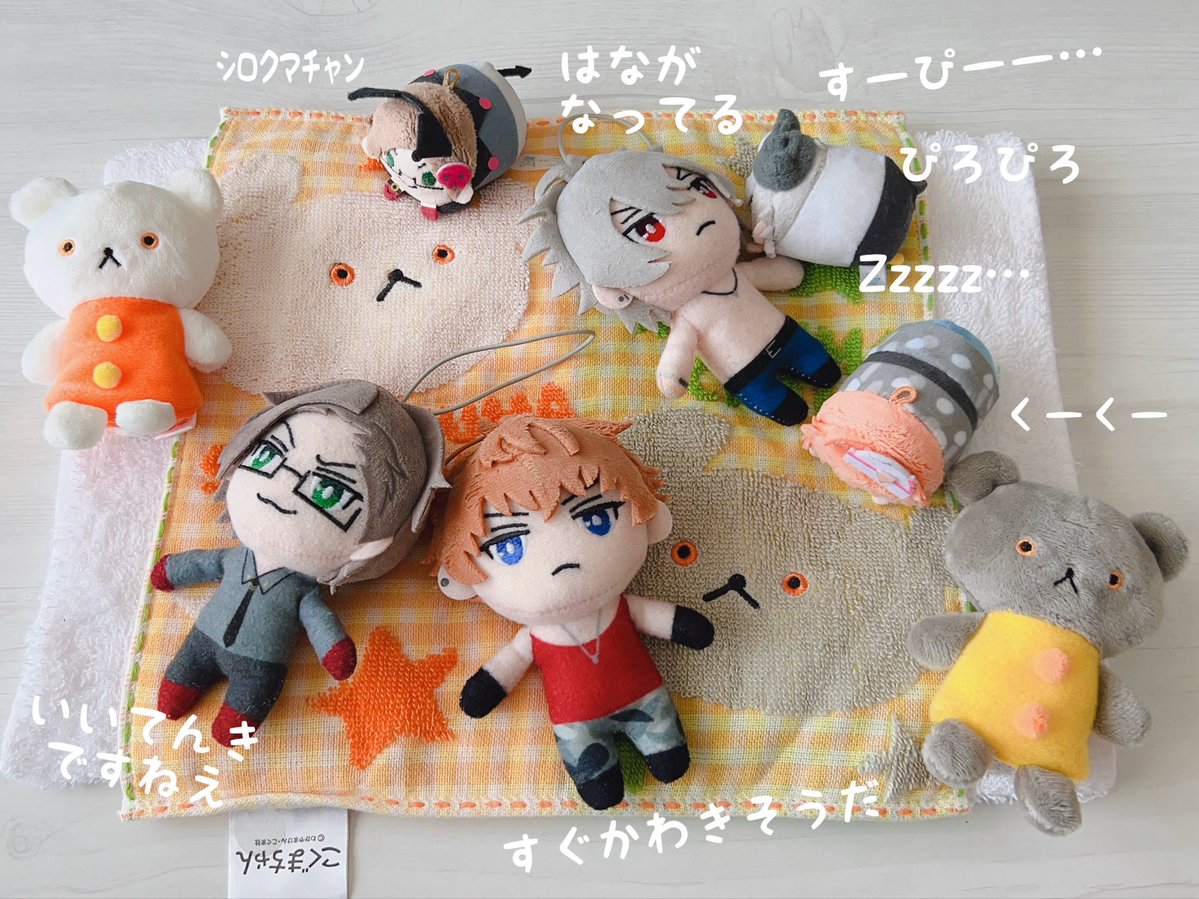 ハマのしろくま tweet media