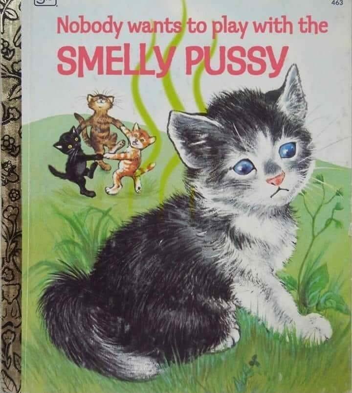 AZPatriotSteve tweet media