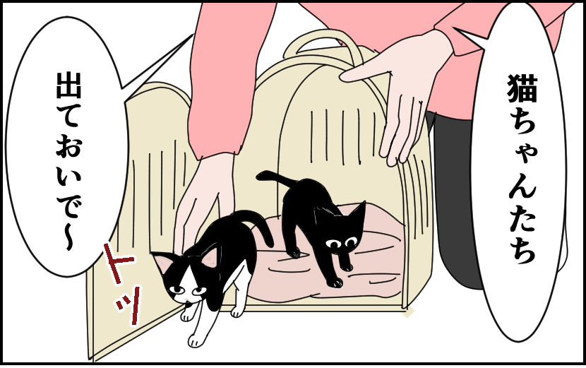 子猫たちも緊張してる?
猫飼い1年生!からの抜粋でした。
その後の猫との生活は 無料kindle本でまとめてあるので
お暇つぶしにどうぞ。
↓ ↓ ↓
https://t.co/cy42apup7O