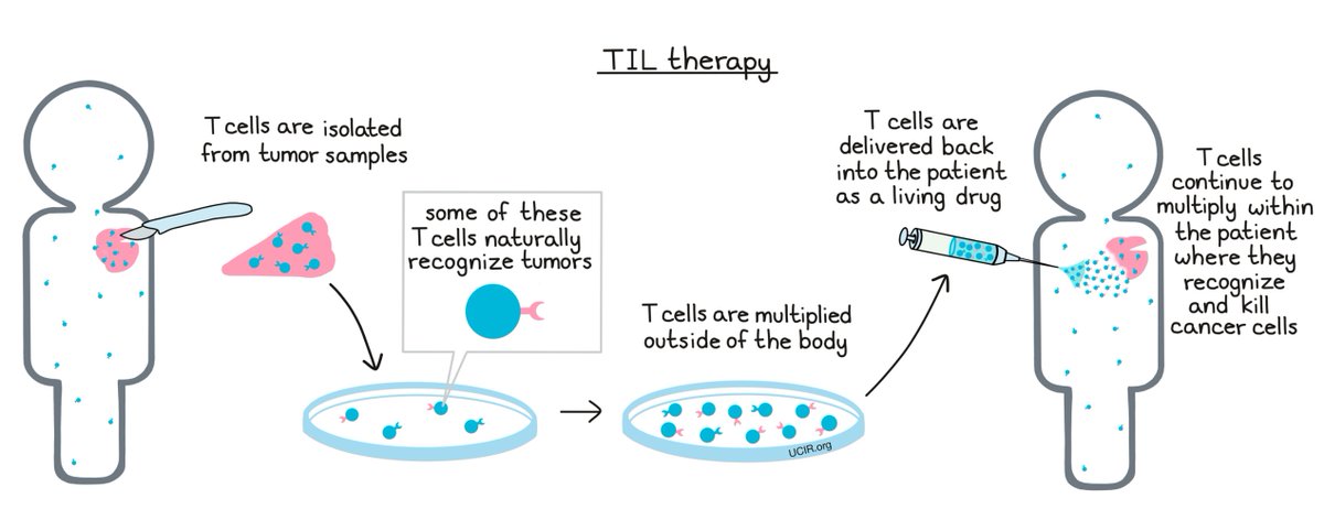 EssenBiotech's tweet image. Essen Biotech trial radar: NCT06532812 (BAH249) — TIL + immunotherapy for refractory breast cancer. 
Talk to your oncology team.

#Immunotherapy #oncology #hematology #CancerResearch #EssenBiotech #ClinicalTrials #Cancer #Genetherapy #CancerTrials  #CART #TIL #NK #Breastcancer