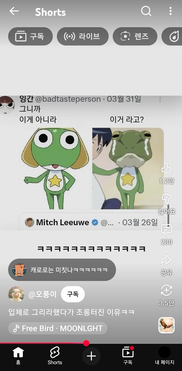 나 숏츠 나옴