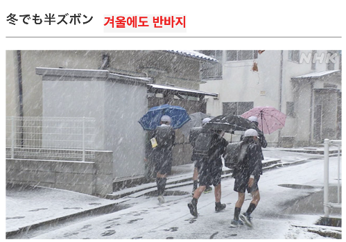 크립토조이 tweet media