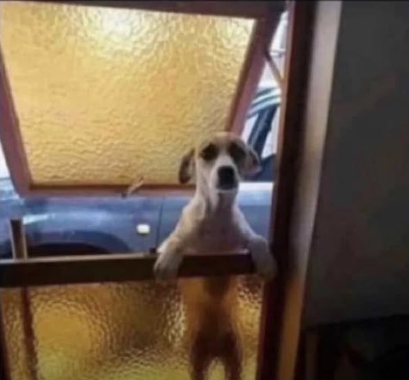 Samson 🇳🇬 tweet media