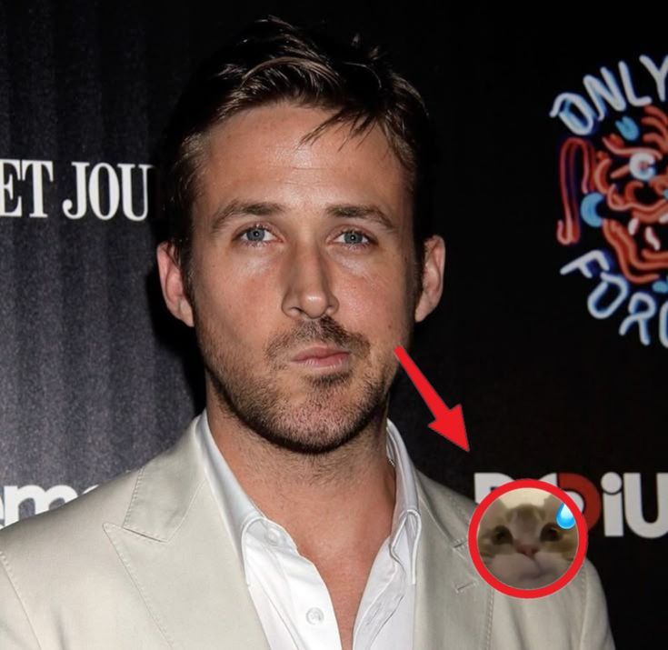 호짱 (@hojjang9123) on Twitter photo 