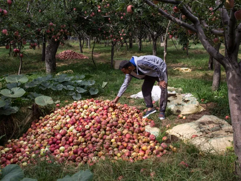 YunusKashmir's tweet image. #Experts highlighted the importance of #climate-resilient #agriculture, #water conservation, and zero-tillage #techniques, reinforcing the idea that the #future of #farming lies in #sustainability and innovation.