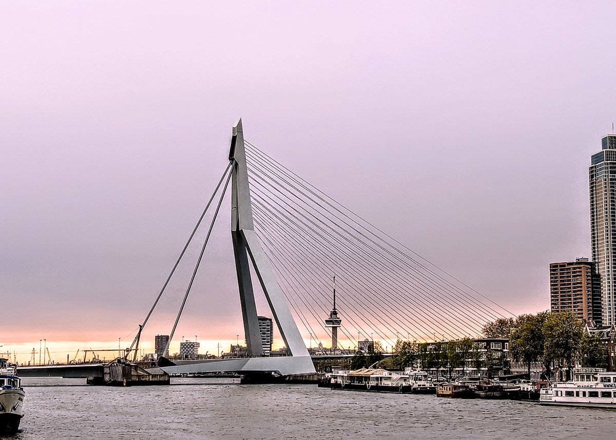 thewisdomtooth's tweet photo. Rotterdam, with bitterballen! https://t.co/grckELJJYU