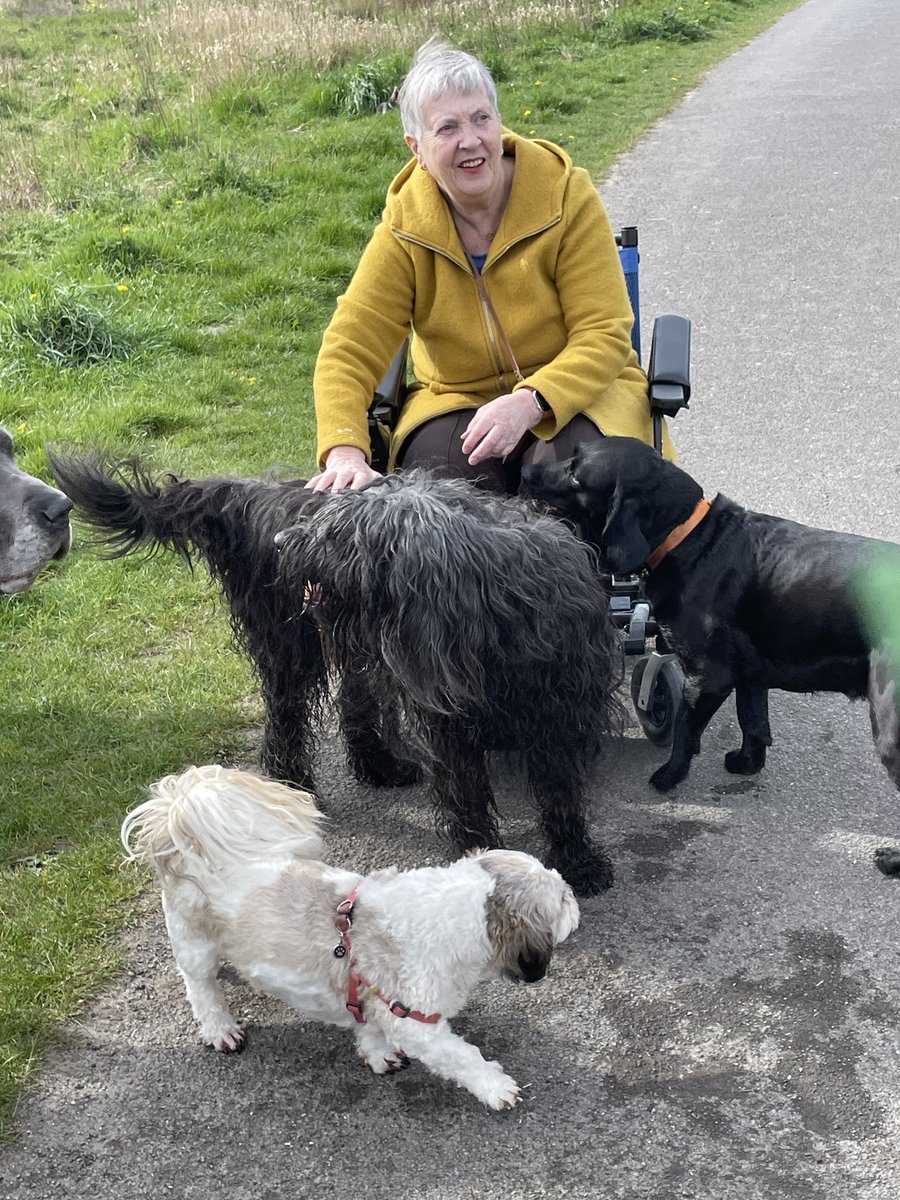 pgpeters's tweet photo. @LisetteOpTexel @MpetersM behalve die vogeltjes was de ontmoeting met een zwarte en blonde briard heel leuk! https://t.co/KhVF7nhUbS