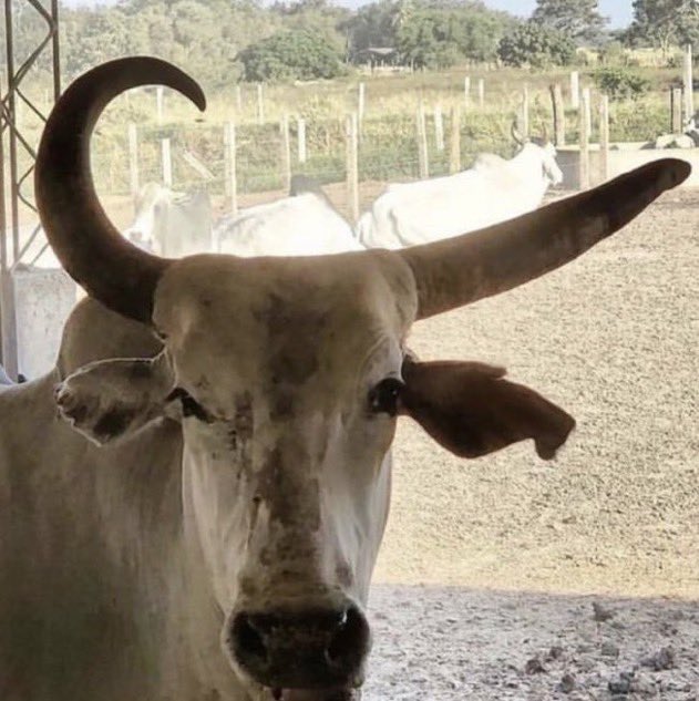 Damini Arora  tweet media