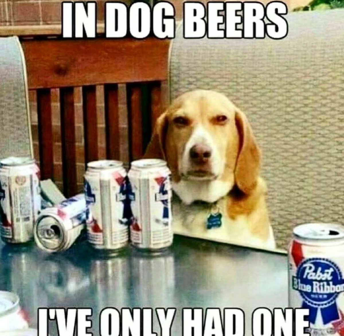 ablyssmal tweet media