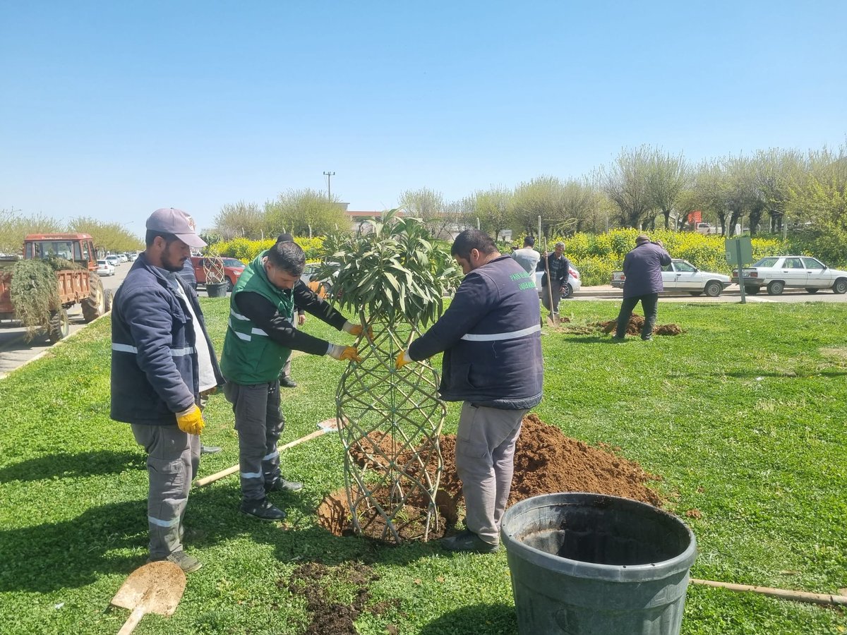 ŞBB PARK VE BAHÇELER 🇹🇷 tweet media