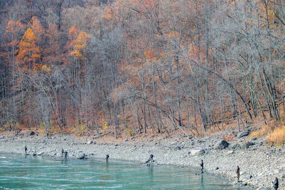 トレトレ市場 tweet media