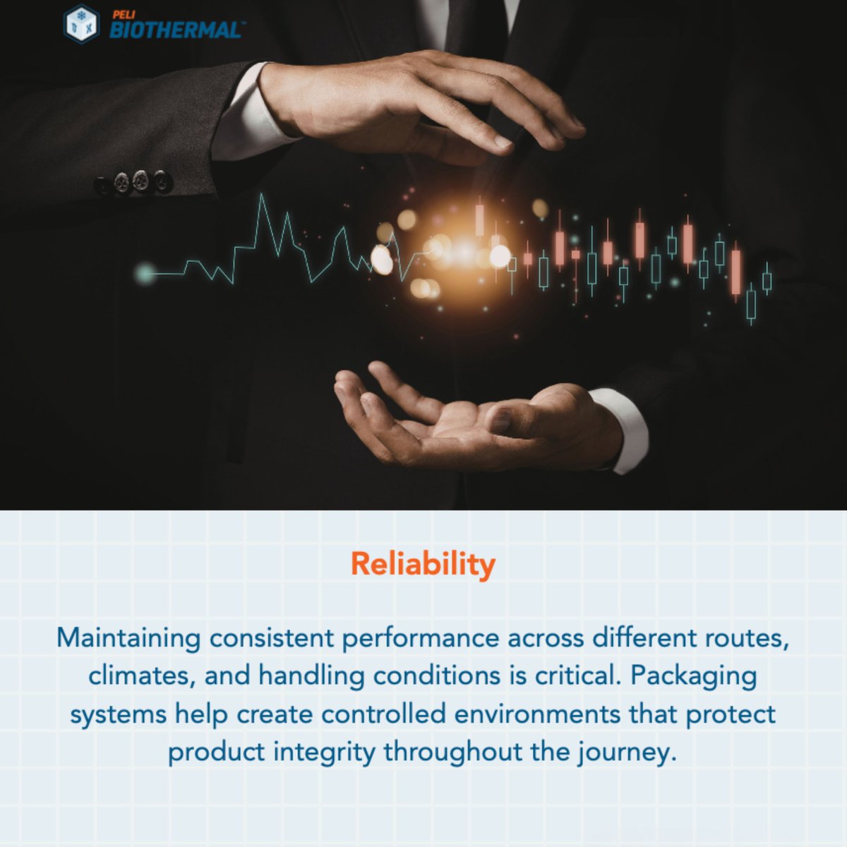 CCP Logistics tweet media