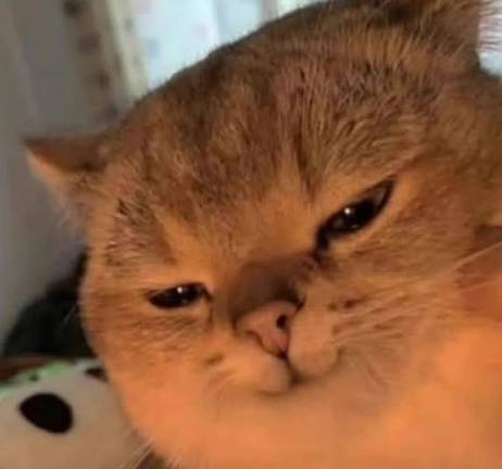 嵐寶雲❤變態人妻Vtuber❤ 孕婦ing tweet media