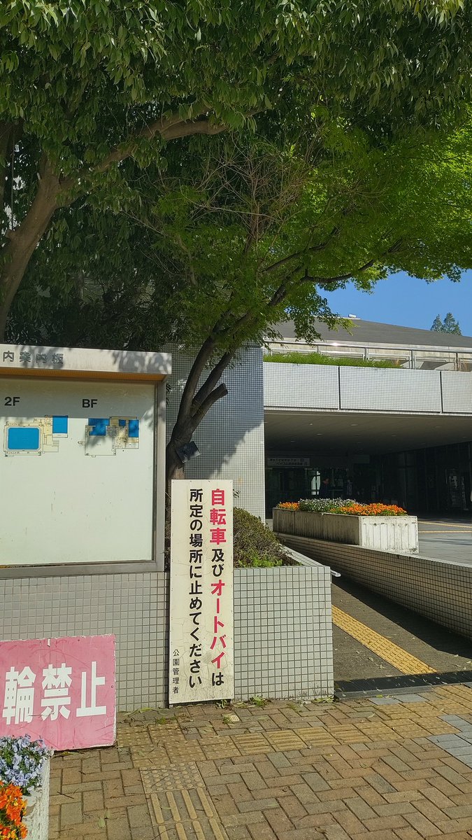 さとちゃん tweet media