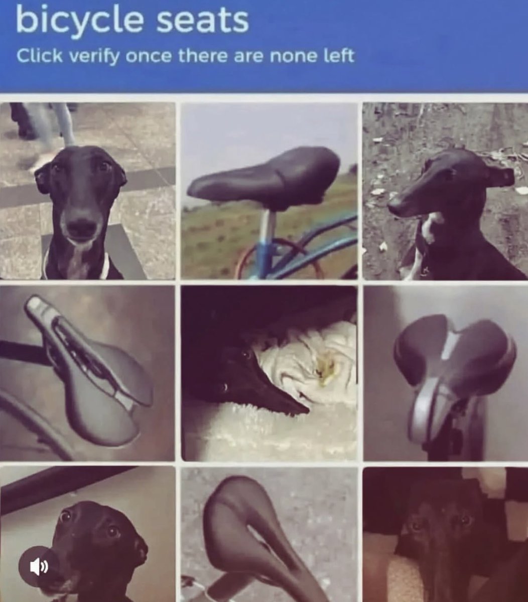 Respectful Memes tweet media