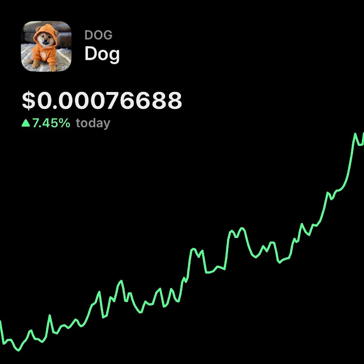 $DOG IS SURGING!!!!!!!!!!!!!!!!!!!!!!!!!!!!!!!!!!