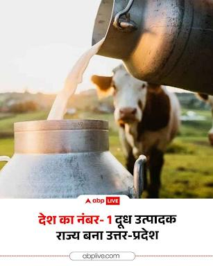 themrshahidali's tweet image. उत्तर प्रदेश ने दूध उत्पादन के मामले में देश में पहला स्थान हासिल किया है। राज्य में दूध उत्पादन में करीब 40% की बढ़ोतरी दर्ज की गई है। इस उपलब्धि के पीछे बेहतर पशुपालन योजनाओं और ग्रामीण महिलाओं की मेहनत का बड़ा हाथ है। 🥛🚀
#UPNews #Number1 #MilkProduction #DairySector