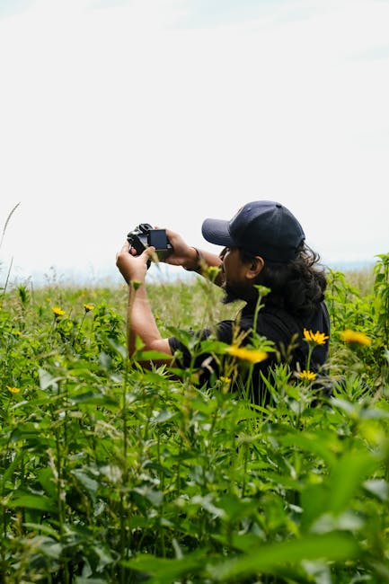 Michael Carlson tweet media