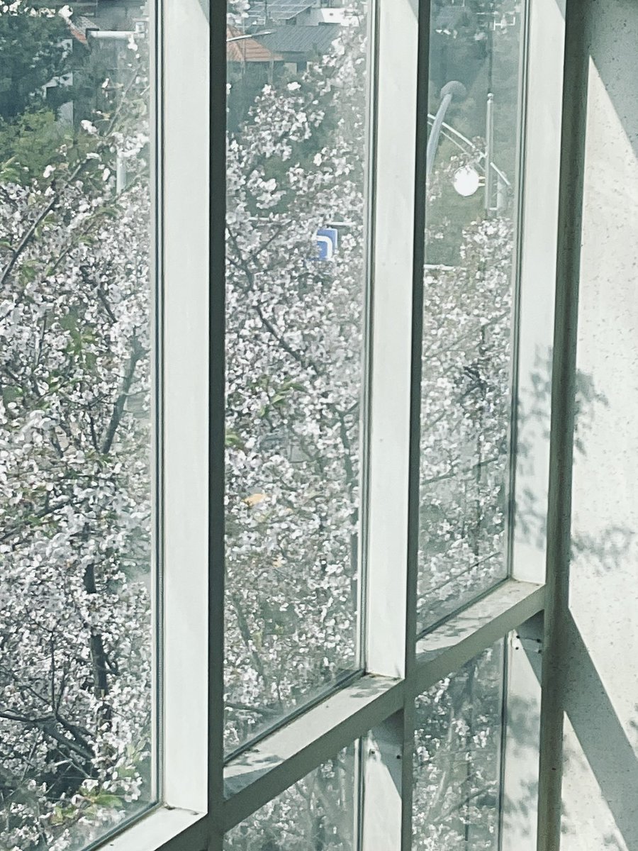 1umore's tweet photo. 봄이 끝나가자나~… https://t.co/1EGlxwnzDq