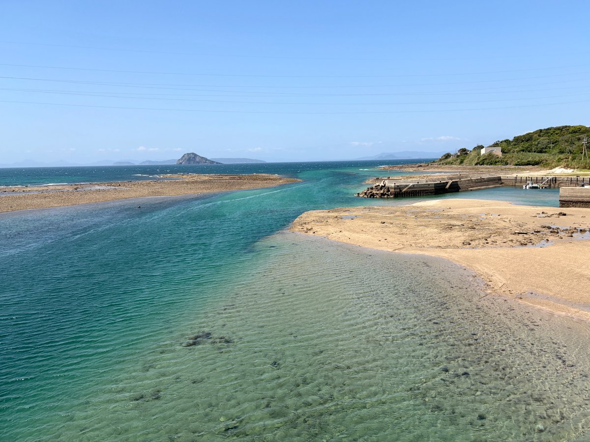 トワタ tweet media