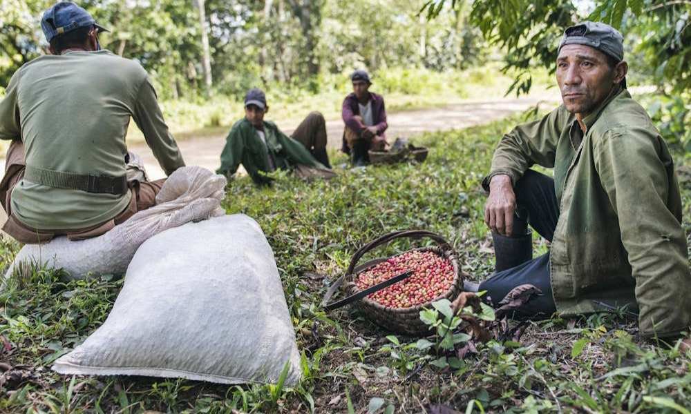 DRA. MERCEDES PAVON "SUPERMUELITA FIFÍ" tweet media
