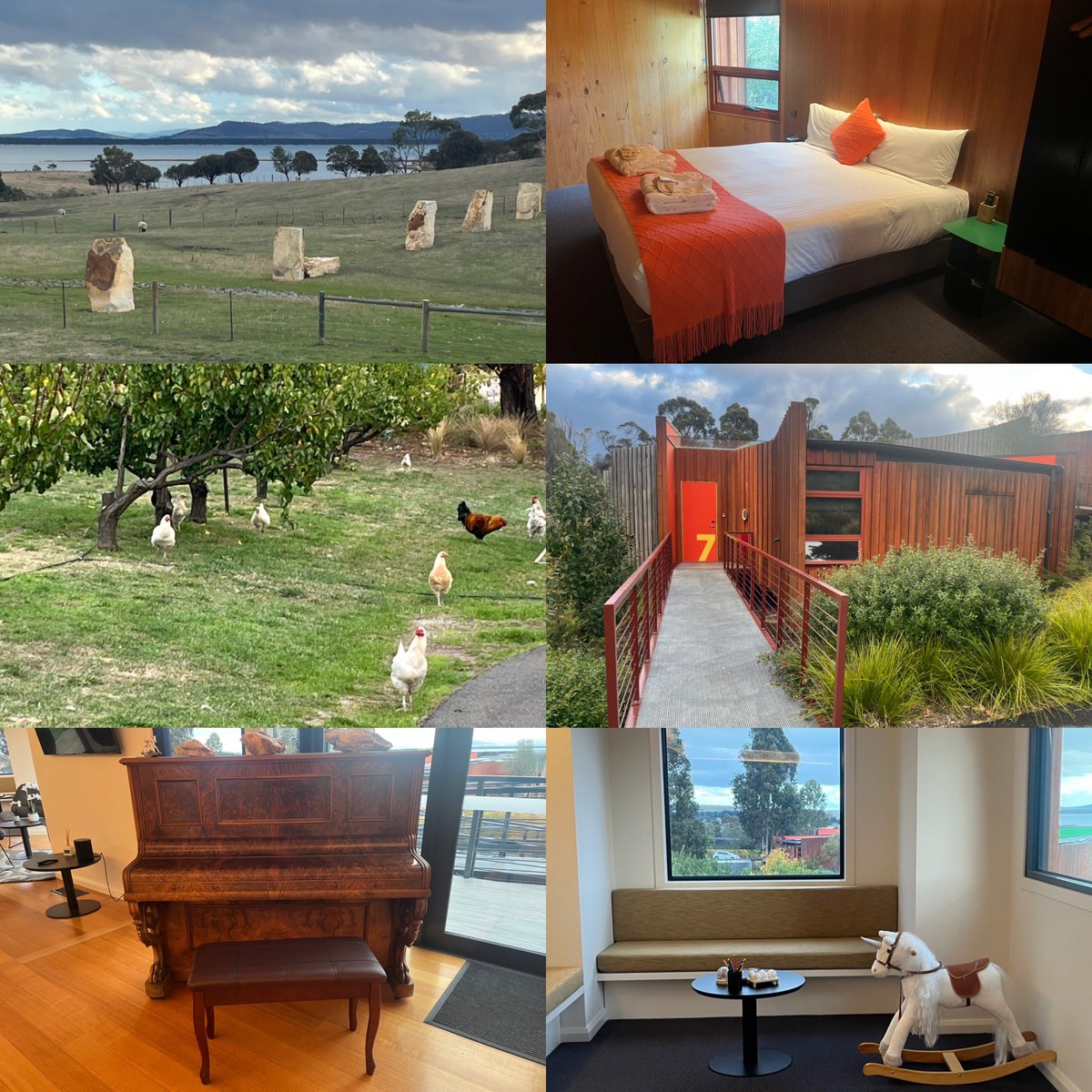 winsordobbin's tweet image. Checking out @IronCreekBayEstate farmstay/resort down the road from #HobartAirport #travel #accommodation #Tasmania @ImpressionsMC